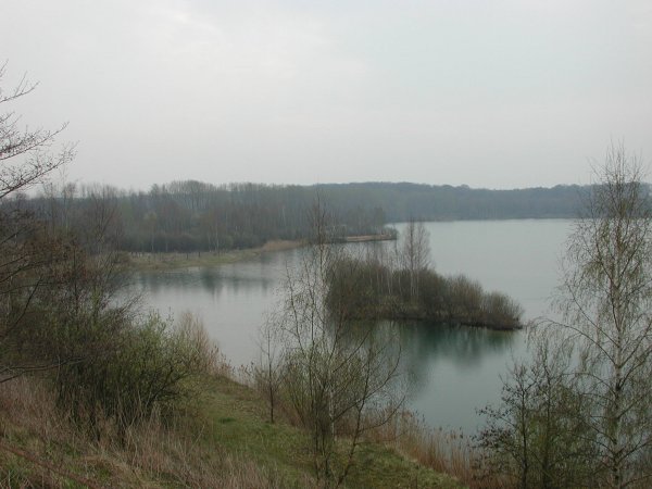 handorf1 001