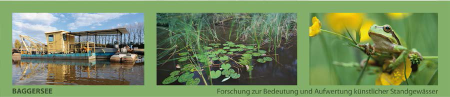 baggersee